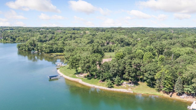 12795 Ozark Trl N, May Twp, MN 55082 - bird's eye view of a heavily wooded area and a large body of water