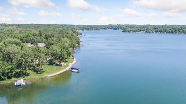 12795 Ozark Trl N, May Twp, MN 55082 - bird's eye view of a forest and a large body of water