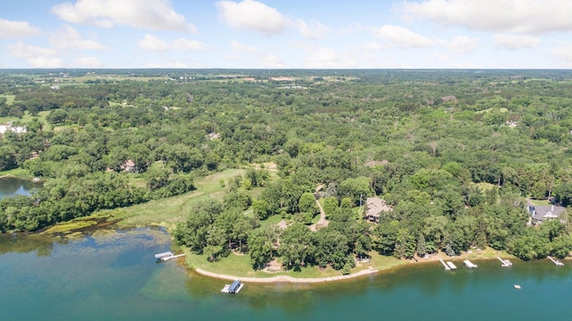 12795 Ozark Trl N, May Twp, MN 55082 - view of property location featuring a forest and a nearby body of water