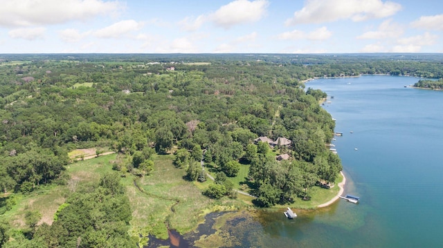 12795 Ozark Trl N, May Twp, MN 55082 - aerial view of a heavily wooded area and a large body of water