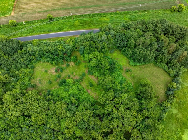 W25757 Bear Coulee Rd, Dodge, WI 54661 - photo 48
