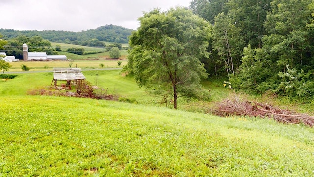 W25757 Bear Coulee Rd, Dodge, WI 54661 - photo 54