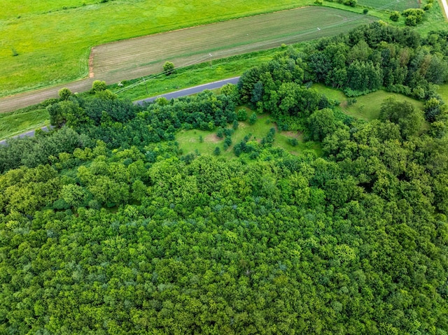 W25757 Bear Coulee Rd, Dodge, WI 54661 - photo 56