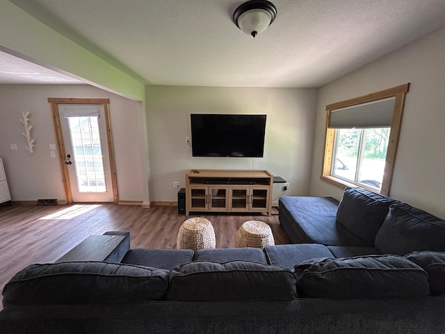 30290 7th Ave N, Swiss Twp, WI 54830 - living room featuring plenty of natural light and wood finished floors