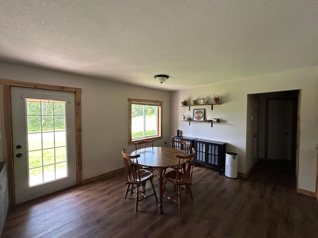 30290 7th Ave N, Swiss Twp, WI 54830 - dining room with dark wood-type flooring and a textured ceiling
