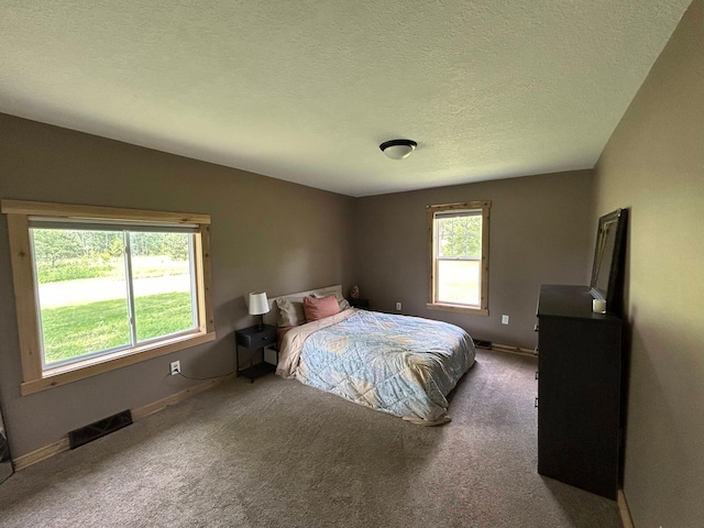 30290 7th Ave N, Swiss Twp, WI 54830 - carpeted bedroom with baseboards and a textured ceiling