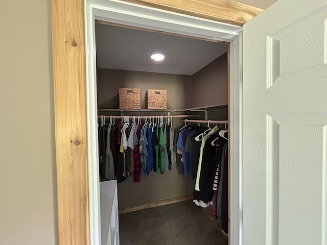 30290 7th Ave N, Swiss Twp, WI 54830 - walk in closet with carpet floors