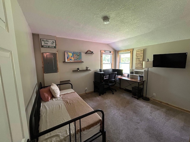 30290 7th Ave N, Swiss Twp, WI 54830 - office featuring a textured ceiling, vaulted ceiling, electric panel, and light carpet
