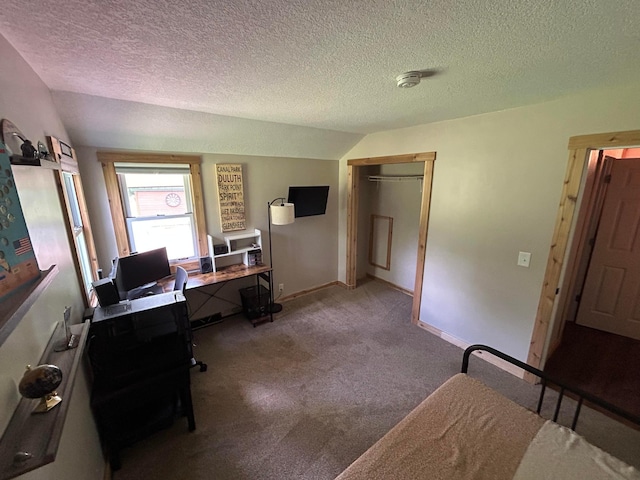 30290 7th Ave N, Swiss Twp, WI 54830 - office area featuring vaulted ceiling, carpet floors, and a textured ceiling