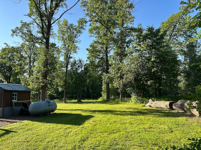 30290 7th Ave N, Swiss Twp, WI 54830 - view of green lawn featuring an outdoor structure