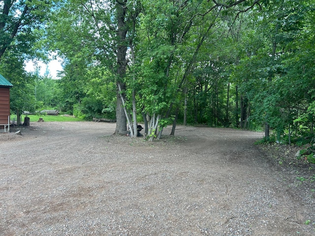 30290 7th Ave N, Swiss Twp, WI 54830 - view of yard featuring dirt driveway