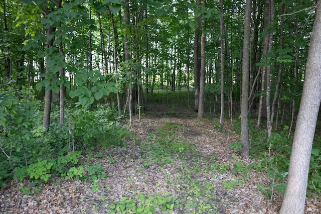 39070 County Highway 67, Newton Twp, MN 56567 - view of woods