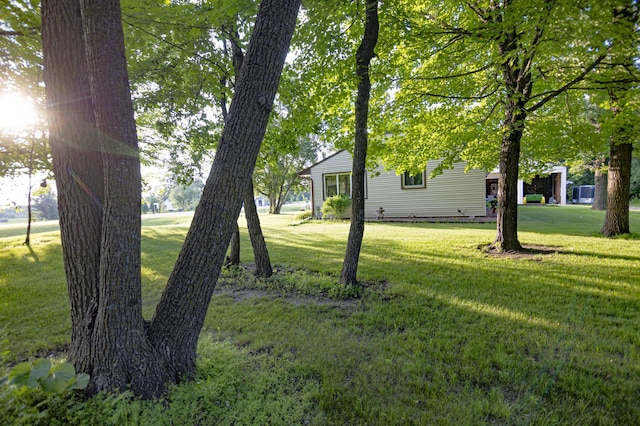 39070 County Highway 67, Newton Twp, MN 56567 - view of green lawn