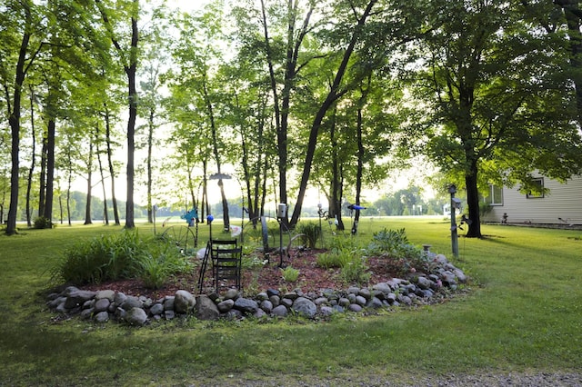 39070 County Highway 67, Newton Twp, MN 56567 - view of community featuring a lawn