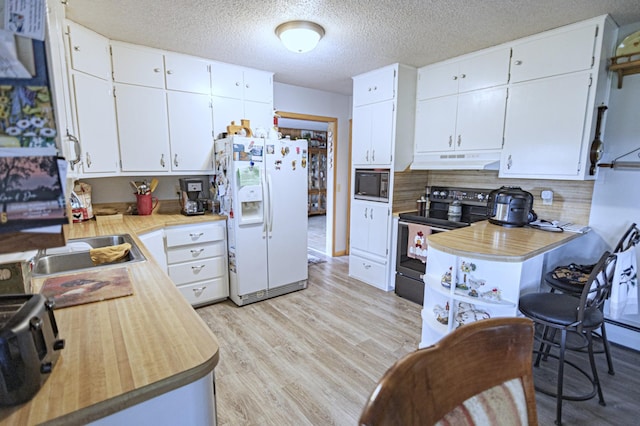 39070 County Highway 67, Newton Twp, MN 56567 - kitchen with white fridge with ice dispenser, stainless steel range with electric stovetop, under cabinet range hood, built in microwave, and light countertops