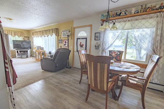 39070 County Highway 67, Newton Twp, MN 56567 - dining area with light wood finished floors, a textured ceiling, and an AC wall unit