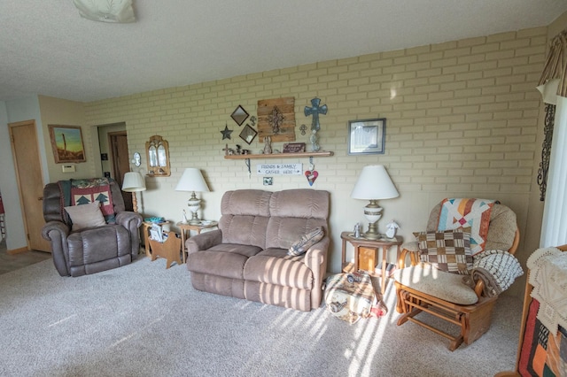 39070 County Highway 67, Newton Twp, MN 56567 - living area featuring brick wall and carpet