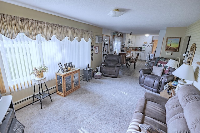 39070 County Highway 67, Newton Twp, MN 56567 - carpeted living room with a textured ceiling, a baseboard heating unit, and a wall mounted air conditioner
