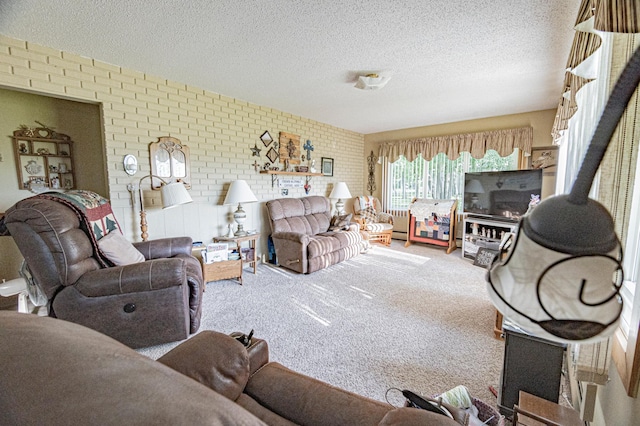 39070 County Highway 67, Newton Twp, MN 56567 - carpeted living area featuring brick wall, a textured ceiling, and a baseboard heating unit
