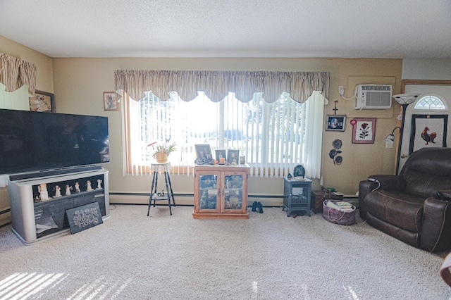 39070 County Highway 67, Newton Twp, MN 56567 - living room featuring plenty of natural light, a baseboard radiator, carpet floors, and a textured ceiling