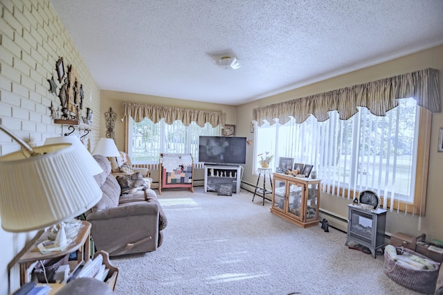 39070 County Highway 67, Newton Twp, MN 56567 - living room featuring carpet floors, a textured ceiling, and baseboard heating
