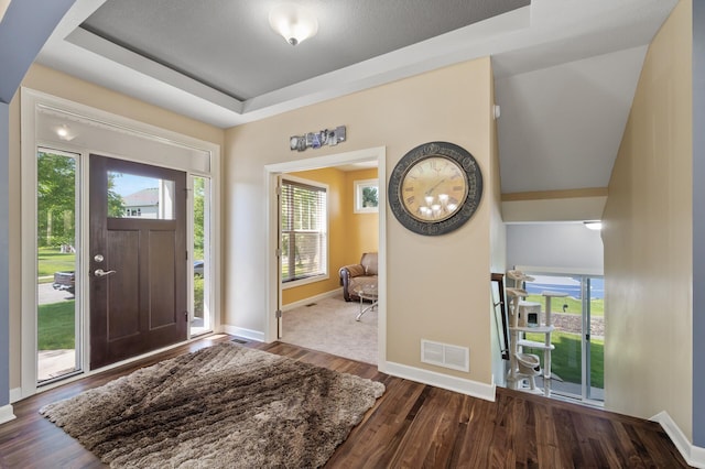 10412 Florida Ave N, Brooklyn Park, MN 55445 - entrance foyer featuring wood finished floors, healthy amount of natural light, and a tray ceiling