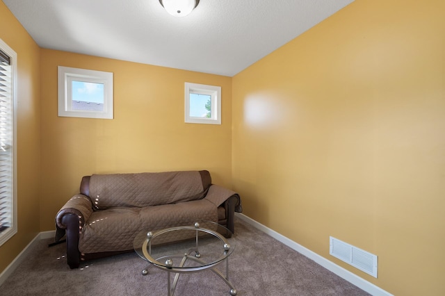10412 Florida Ave N, Brooklyn Park, MN 55445 - living area with carpet floors and baseboards