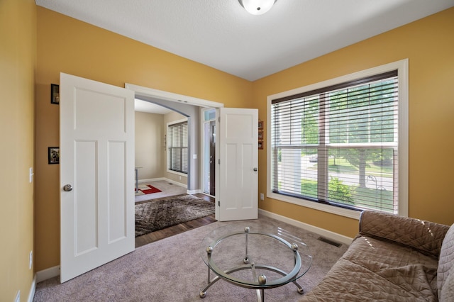 10412 Florida Ave N, Brooklyn Park, MN 55445 - living area featuring carpet and arched walkways