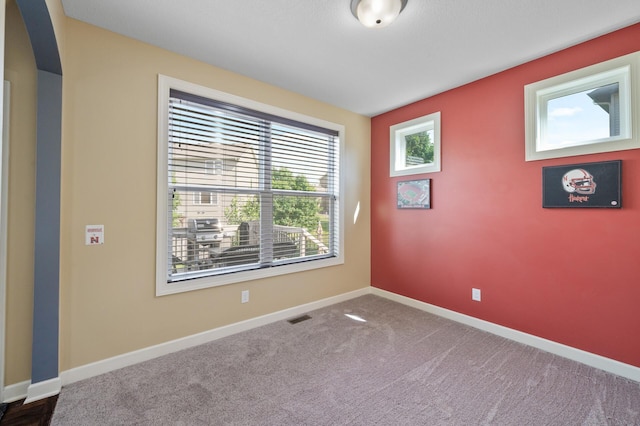 10412 Florida Ave N, Brooklyn Park, MN 55445 - spare room with baseboards and carpet flooring
