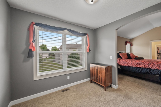 10412 Florida Ave N, Brooklyn Park, MN 55445 - bedroom with light colored carpet, lofted ceiling, and arched walkways
