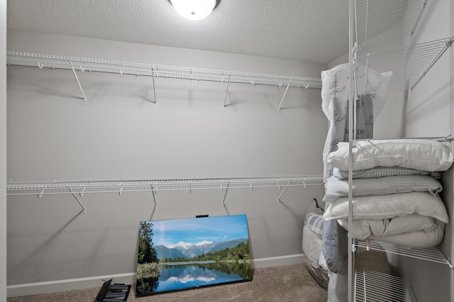 10412 Florida Ave N, Brooklyn Park, MN 55445 - spacious closet featuring carpet floors