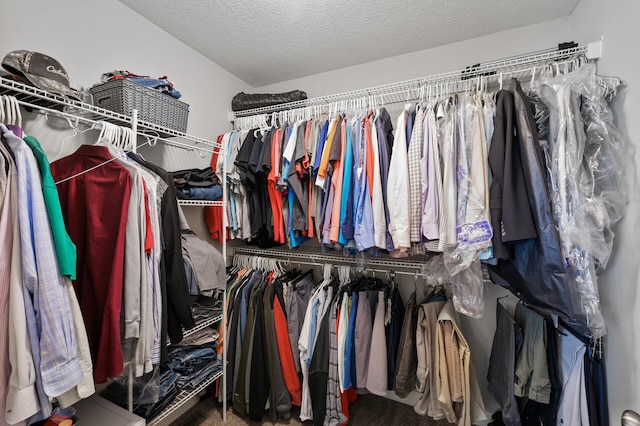 10412 Florida Ave N, Brooklyn Park, MN 55445 - walk in closet featuring carpet