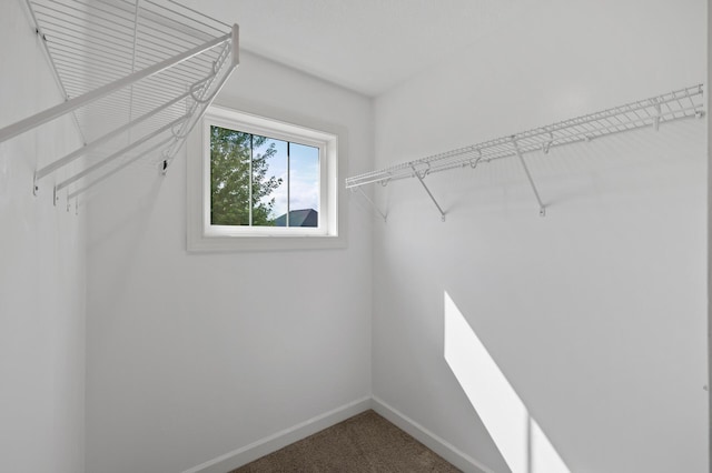 10412 Florida Ave N, Brooklyn Park, MN 55445 - spacious closet with carpet floors