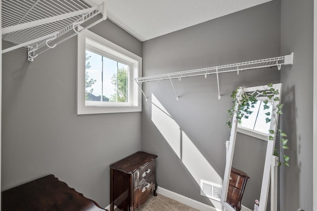 10412 Florida Ave N, Brooklyn Park, MN 55445 - spacious closet featuring carpet floors