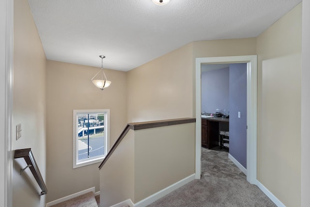 10412 Florida Ave N, Brooklyn Park, MN 55445 - stairway featuring carpet floors and a textured ceiling