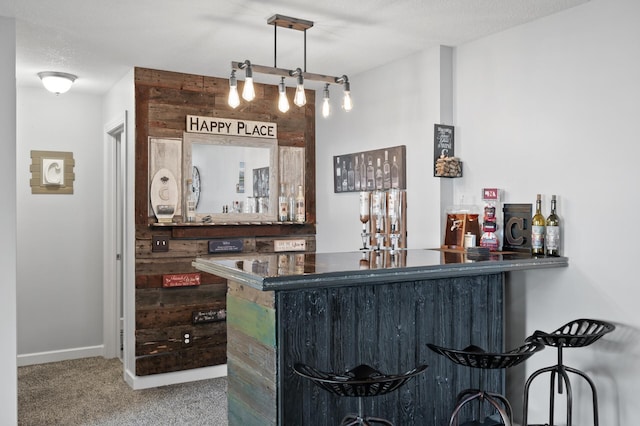 10412 Florida Ave N, Brooklyn Park, MN 55445 - indoor dry bar with carpet flooring