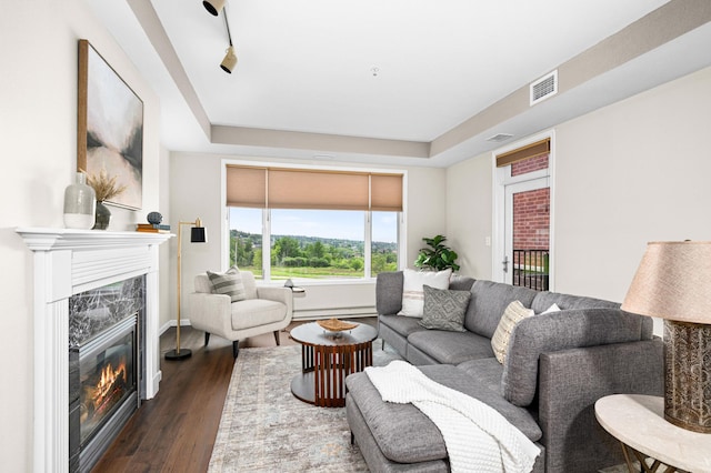 1126 Mesaba Ave Unit 118, Duluth, MN 55811 - living room featuring a tray ceiling, a high end fireplace, and dark wood-style floors