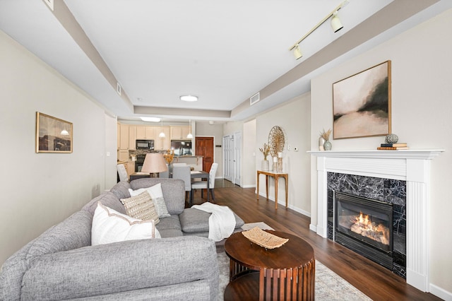 1126 Mesaba Ave Unit 118, Duluth, MN 55811 - living room with a premium fireplace, dark wood-style floors, and a tray ceiling