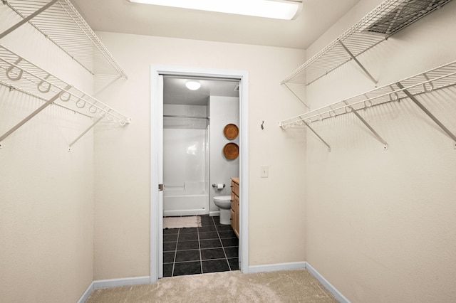 1126 Mesaba Ave Unit 118, Duluth, MN 55811 - spacious closet with carpet floors