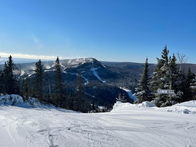 140 Bridge Run Ln Unit C, Lutsen Twp, MN 55615 - view of mountain background