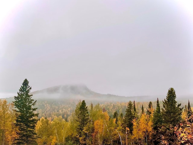 140 Bridge Run Ln Unit C, Lutsen Twp, MN 55615 - view of mountain background featuring a forest