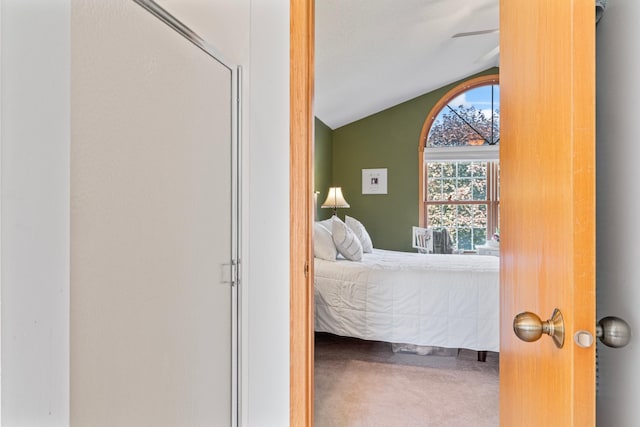 1405 17th Dr SW, Austin, MN 55912 - carpeted bedroom featuring lofted ceiling