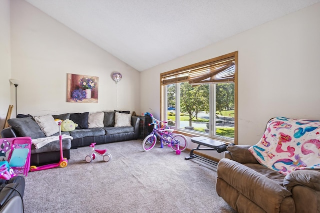 3113 Chandler Ct, Burnsville, MN 55337 - photo 9