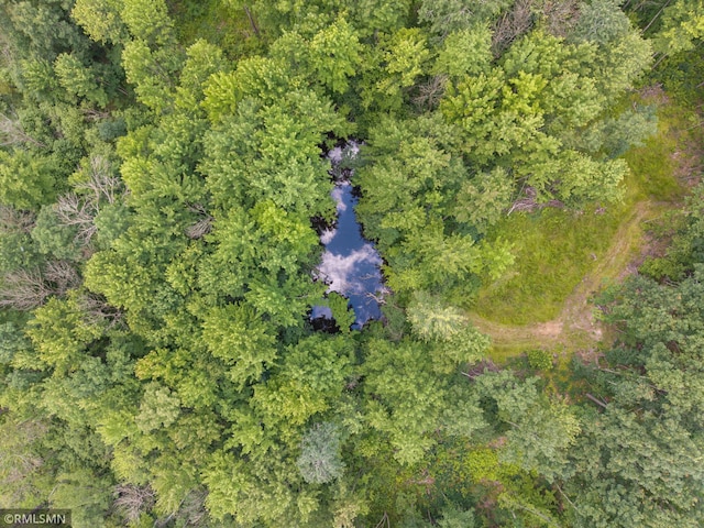 W10429 Hinker Rd, Foster Twp, WI 54493 - drone / aerial view of a large body of water