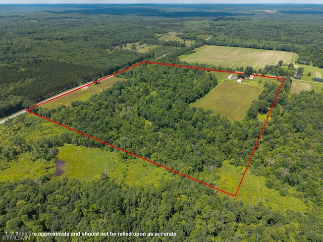 W10429 Hinker Rd, Foster Twp, WI 54493 - view of rural area featuring a heavily wooded area and property boundaries highlighted