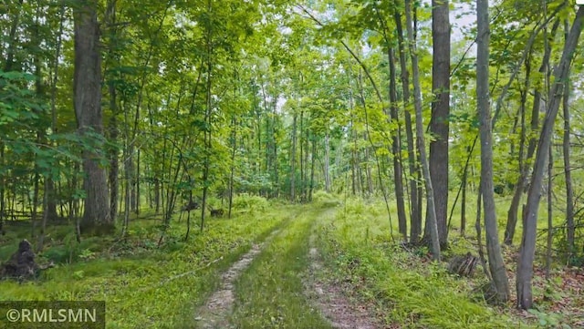 W10429 Hinker Rd, Foster Twp, WI 54493 - view of road featuring a forest view