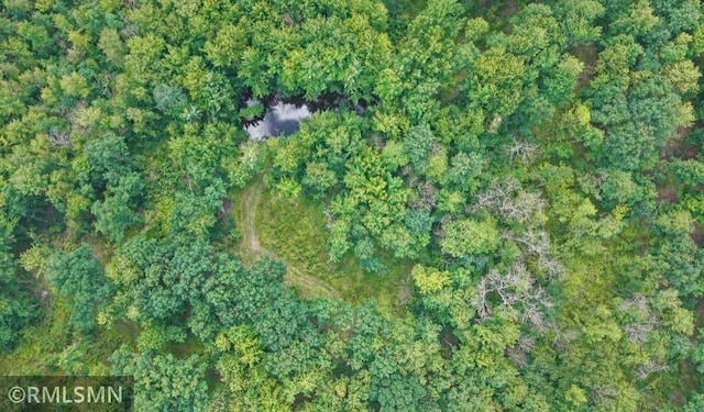 W10429 Hinker Rd, Foster Twp, WI 54493 - view of property location
