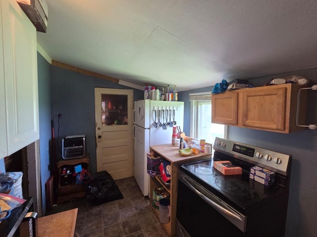 48685 105th St, Pleasant Mound Twp, MN 56010 - kitchen with electric stove, freestanding refrigerator, and brown cabinets