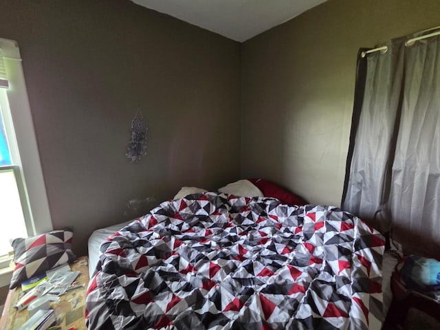 48685 105th St, Pleasant Mound Twp, MN 56010 - view of bedroom