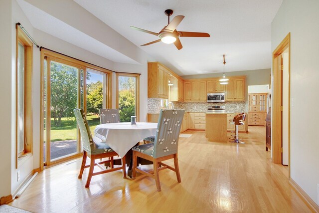 13354 Cranford Cir, Rosemount, MN 55068 - photo 19